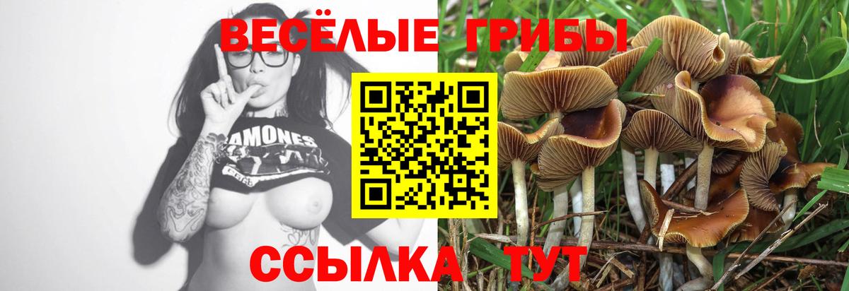 Галлюциногенные грибы прущие грибы Бийск